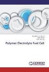 Polymer Electrolyte Fuel Cell