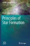 Principles of Star Formation