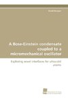 A Bose-Einstein condensate coupled to a micromechanical oscillator