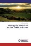 Geo-spatial analysis of surface fluvial processes