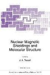 Nuclear Magnetic Shieldings and Molecular Structure