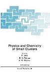 Physics and Chemistry of Small Clusters