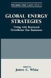 Global Energy Strategies