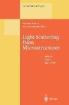 Light Scattering from Microstructures