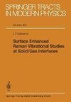 Surface Enhanced Raman Vibrational Studies at Solid Gas Interfaces