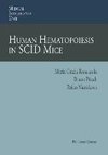 Human Hematopoiesis in SCID Mice