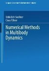 Numerical Methods in Multibody Dynamics