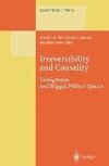 Irreversibility and Causality