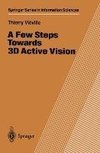 A Few Steps Towards 3D Active Vision