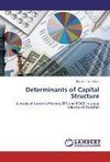 Determinants of Capital Structure