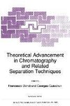 Theoretical Advancement in Chromatography and Related Separation Techniques