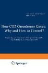 Non-CO2 Greenhouse Gases: Why and How to Control?