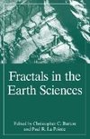 Fractals in the Earth Sciences