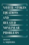 Navier-Stokes Equations and Related Nonlinear Problems