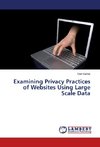 Examining Privacy Practices of Websites Using Large Scale Data