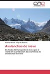 Avalanchas de nieve