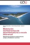 Modelación morfodinámica de desembocaduras a escala intra-anual