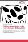 Balance energético en la reproducción de las vacas