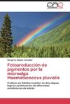 Fotoproducción de pigmentos por la microalga Haematococcus pluvialis