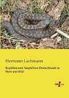 Reptilien und Amphibien Deutschlands in Wort und Bild