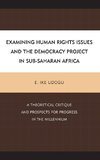 Examining Human Rights Issues and the Democracy Project in Sub-Saharan Africa