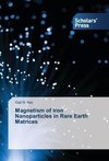 Magnetism of Iron Nanoparticles in Rare Earth Matrices