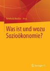 Was ist und wozu Sozioökonomie?