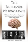 The Brilliance of Ignorance