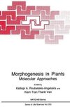 Morphogenesis in Plants