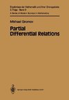 Partial Differential Relations