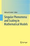 Singular Phenomena and Scaling in Mathematical Models