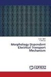 Morphology Dependent Electrical Transport Mechanism