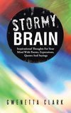 Stormy Brain