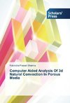 Computer Aided Analysis Of 3d Natural Convection In Porous Media