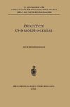 Induktion und Morphogenese