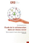 Étude de la collaboration dans un réseau social