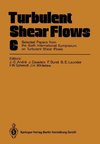 Turbulent Shear Flows 6