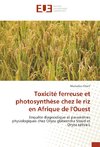 Toxicité ferreuse et photosynthèse chez le riz en Afrique de l'Ouest