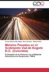 Metales Pesados en el Sedimento Vial de Bogotá D.C. (Colombia)