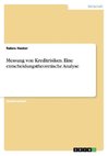 Messung von Kreditrisiken. Eine entscheidungstheoretische Analyse