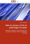 Rôle du facteur eIF2B en pathologie humaine