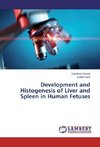 Development and Histogenesis of Liver and Spleen in Human Fetuses