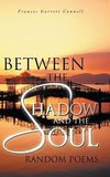 Between the Shadow and the Soul