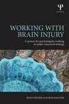 Coetzer, R: Working with Brain Injury