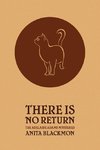 There Is No Return (Adelaide Adams Mystery)