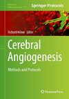 Cerebral Angiogenesis