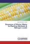 Response of Winter Maize to Planting Methods & Nitrogen Levels