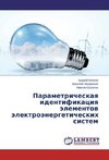 Parametricheskaya identifikaciya jelementov jelektrojenergeticheskih sistem