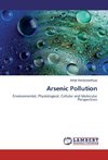 Arsenic Pollution