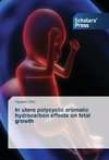 In utero polycyclic aromatic hydrocarbon effects on fetal growth